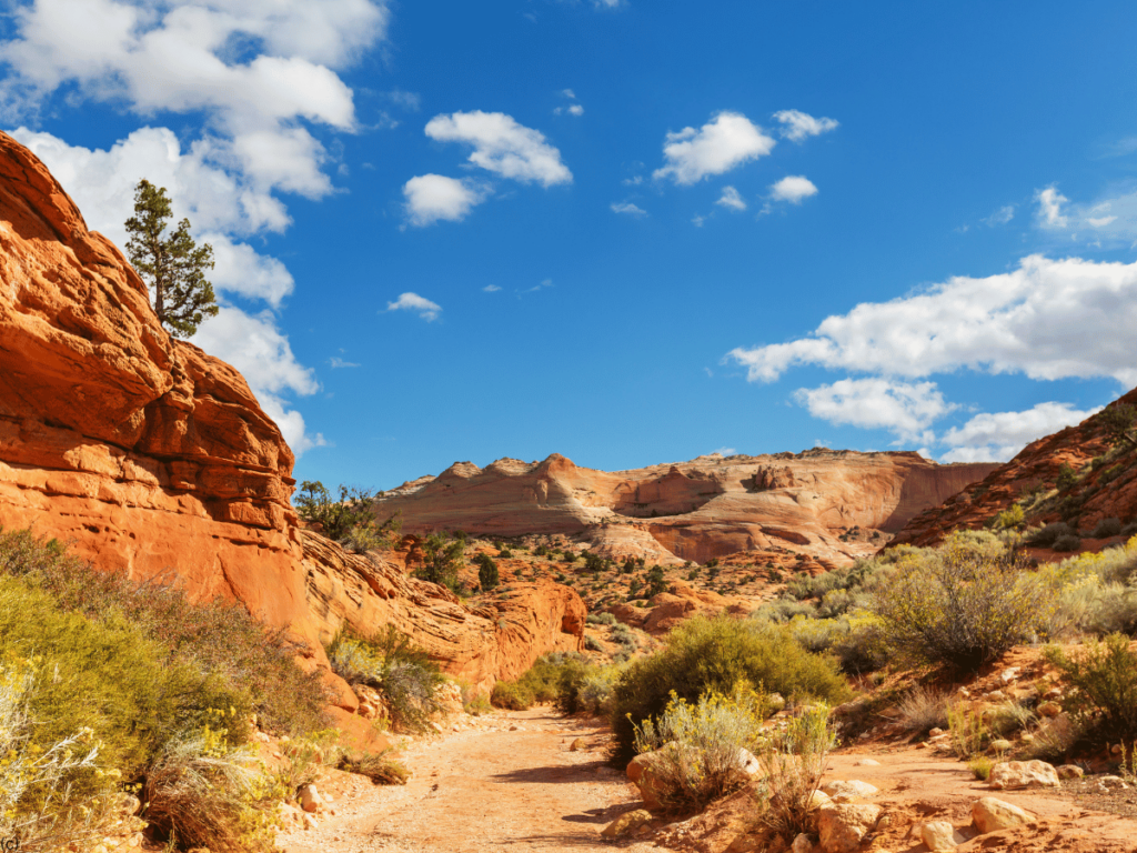 Capitol Reef 