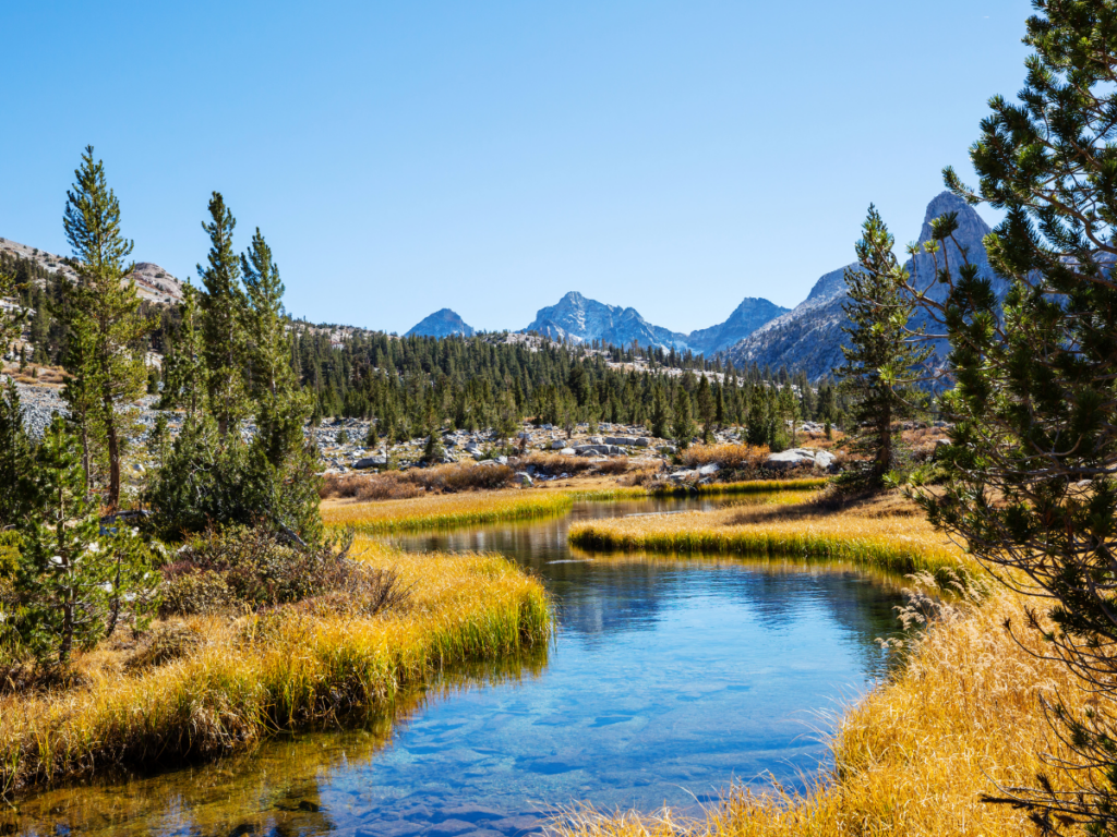 Sierra Nevada Mountains 